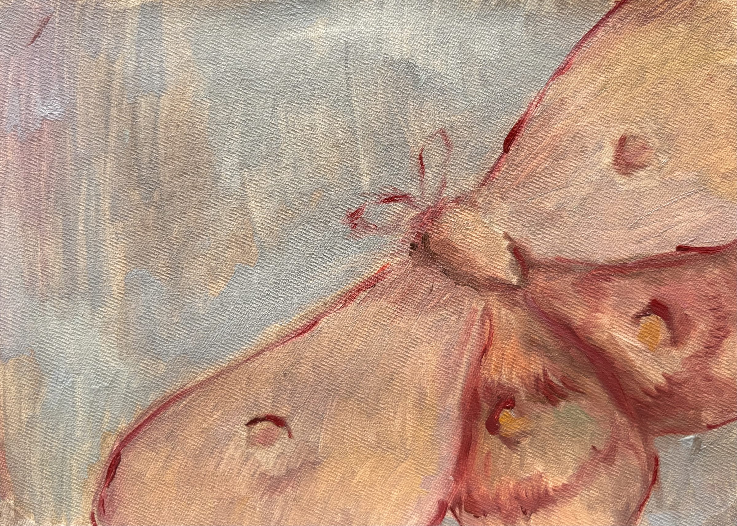 Untitled thumbnail 2