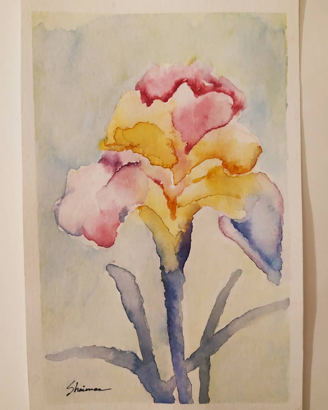Iris in Bloom 🌸 thumbnail 2