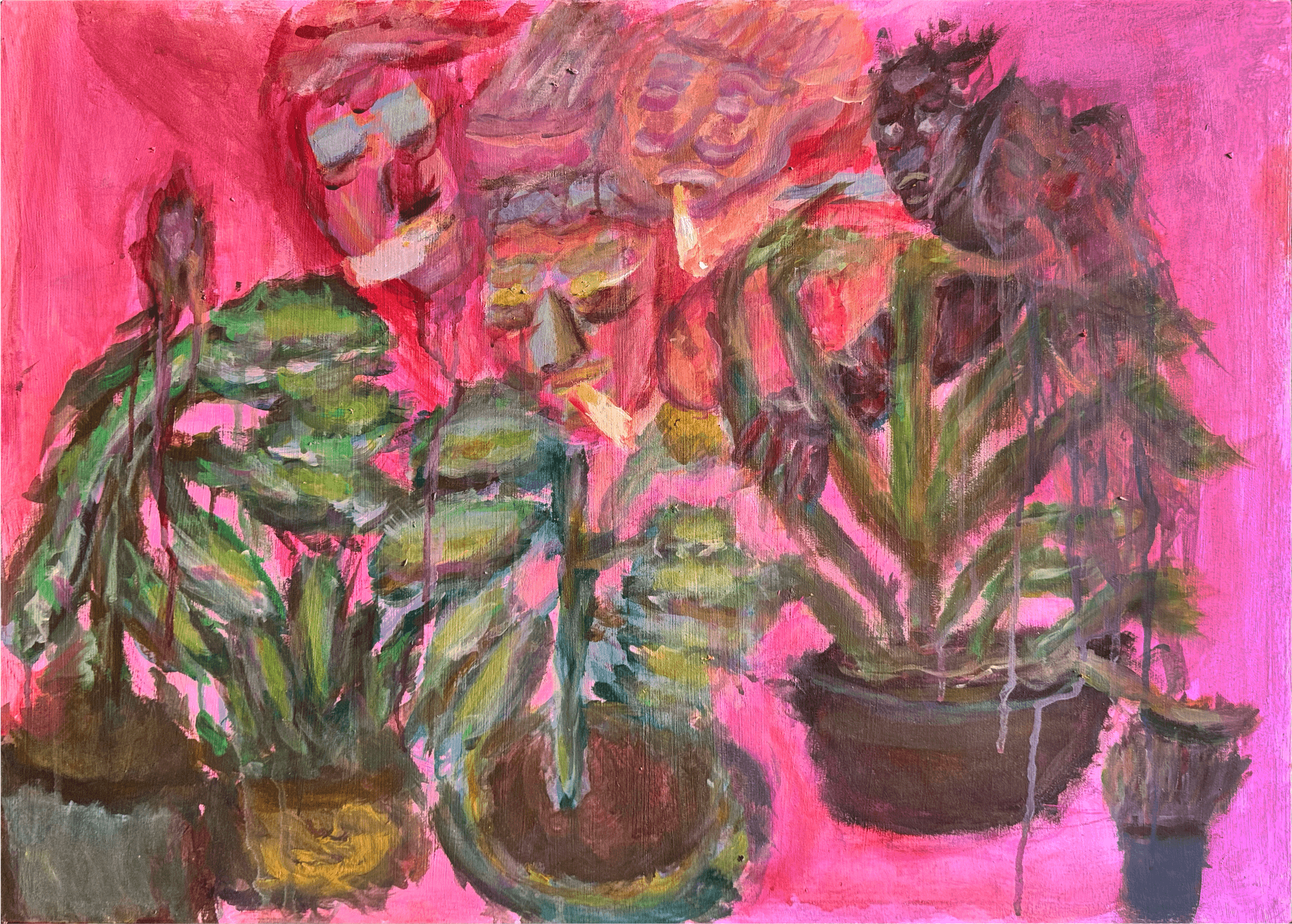 My plants are dying and so am I