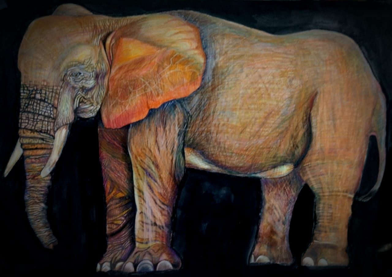 The Majestic Elephant