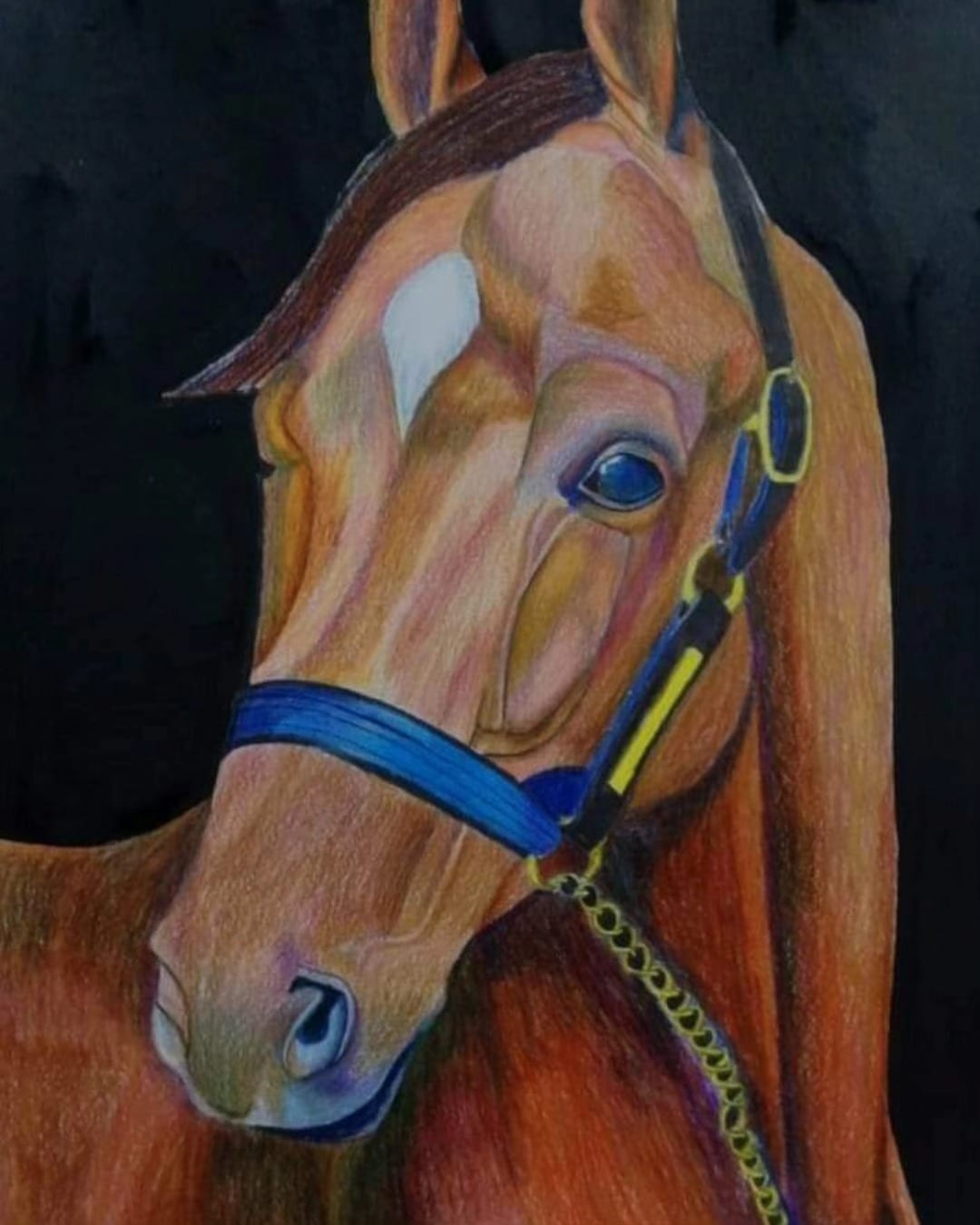 Blue-Eyed Horse – Colored Pencil Artwork