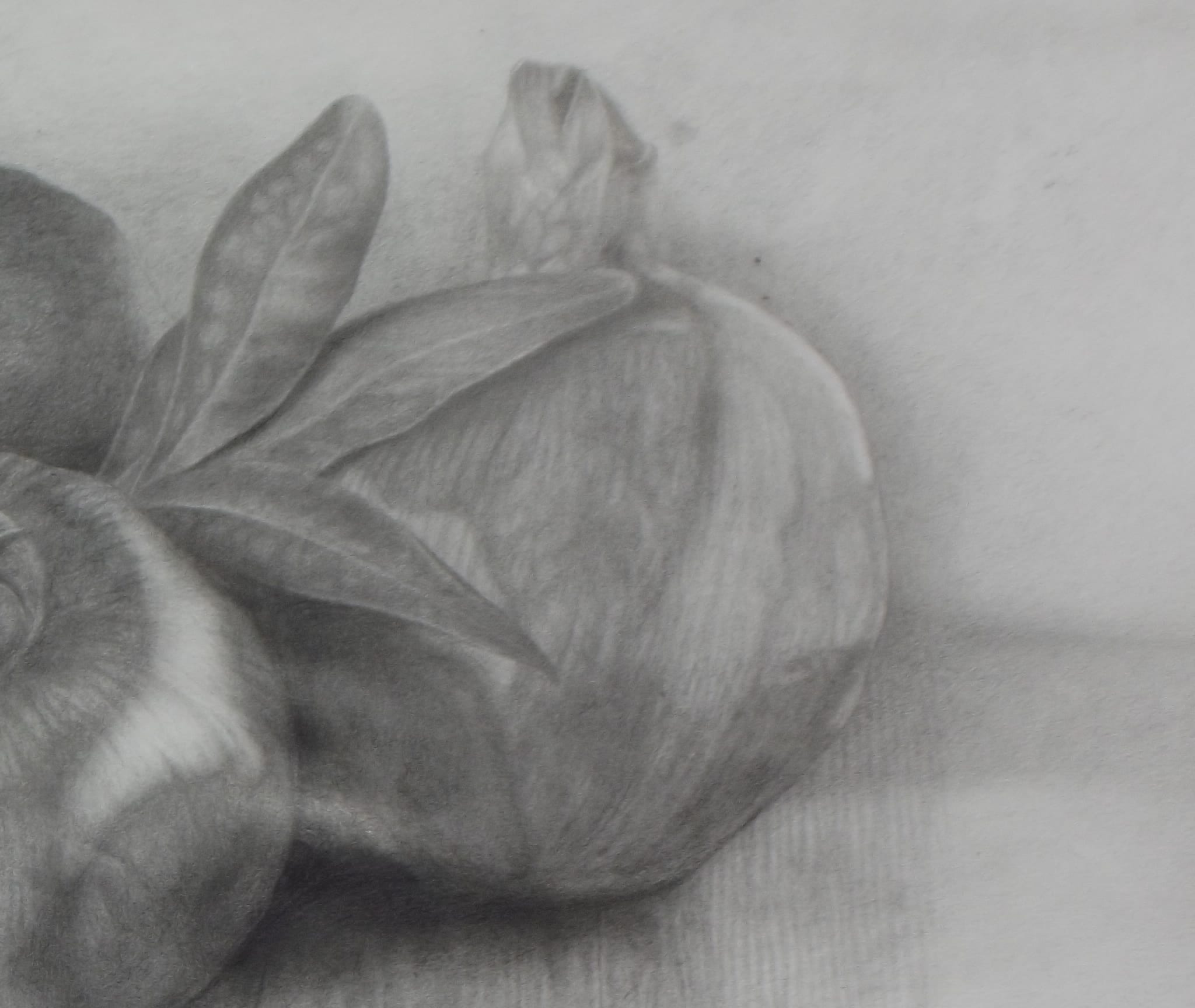 3 Pomegranates thumbnail 3