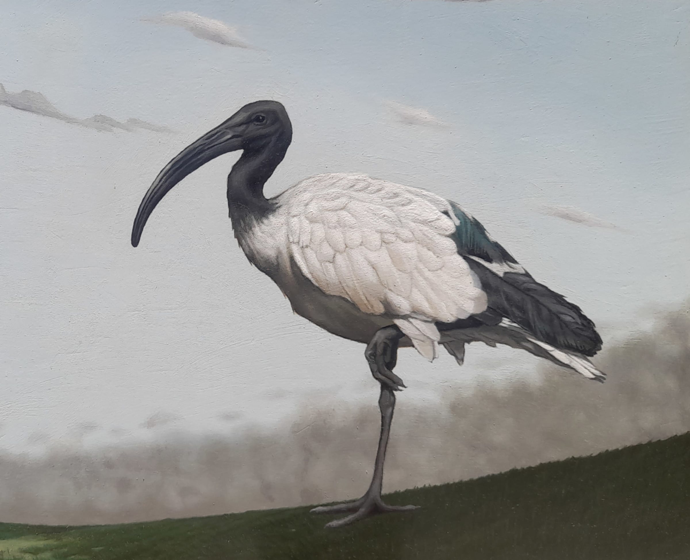 Fluteing to Ibis thumbnail 5