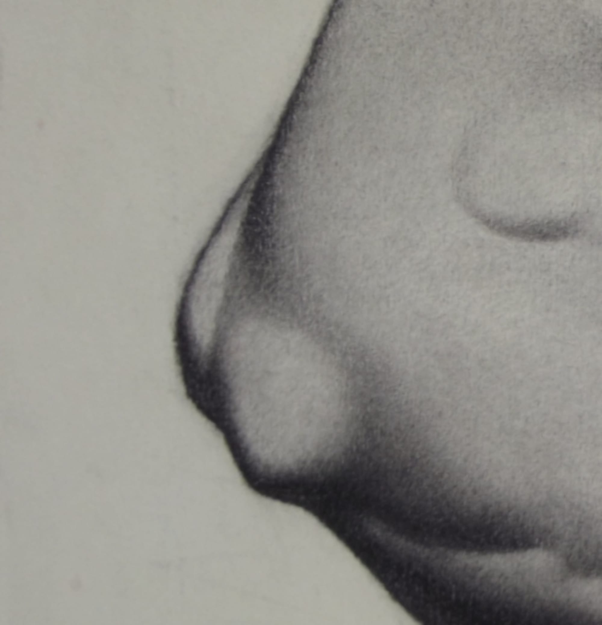 Bargue plate 23 thumbnail 4
