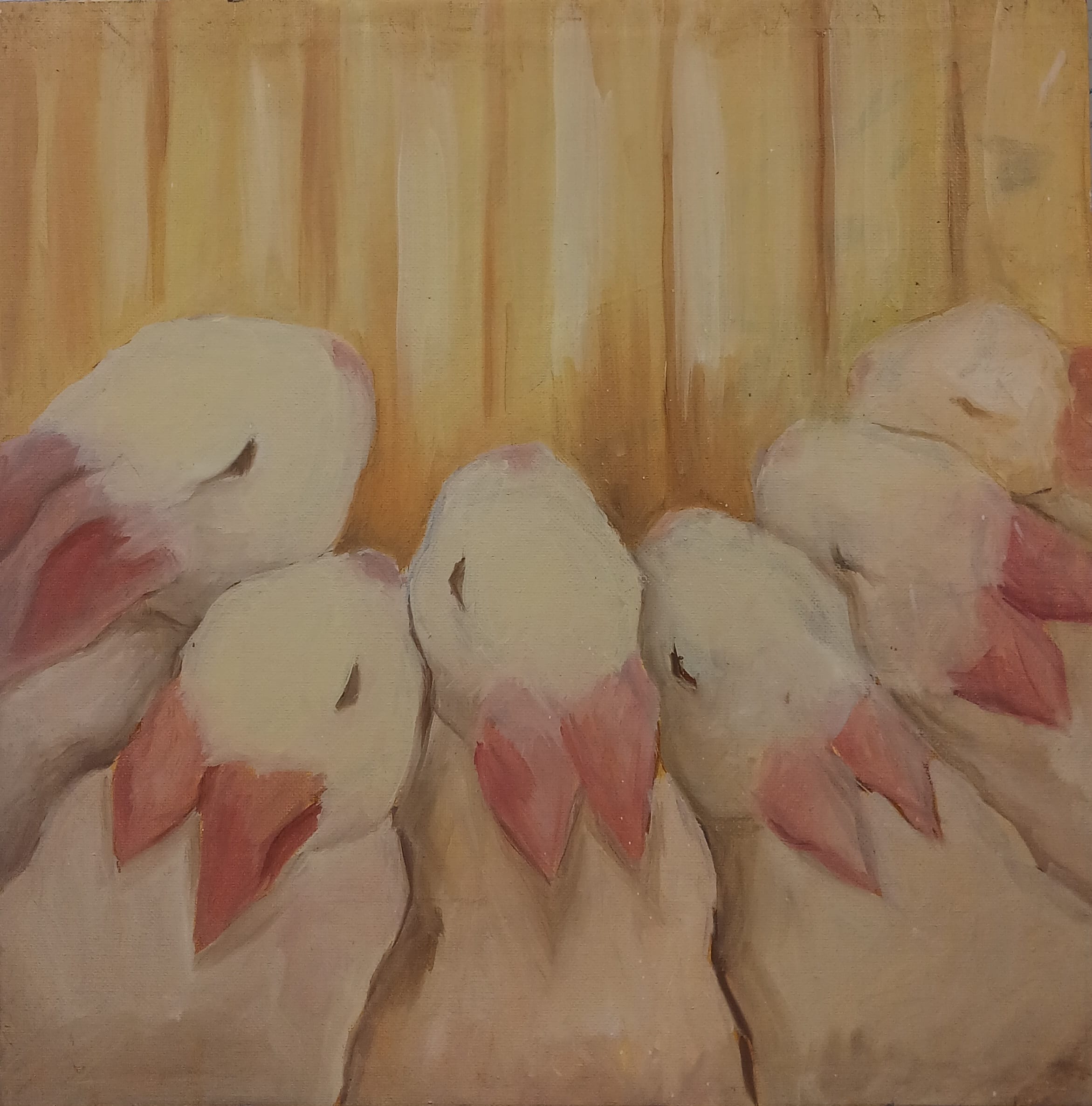 Cluster