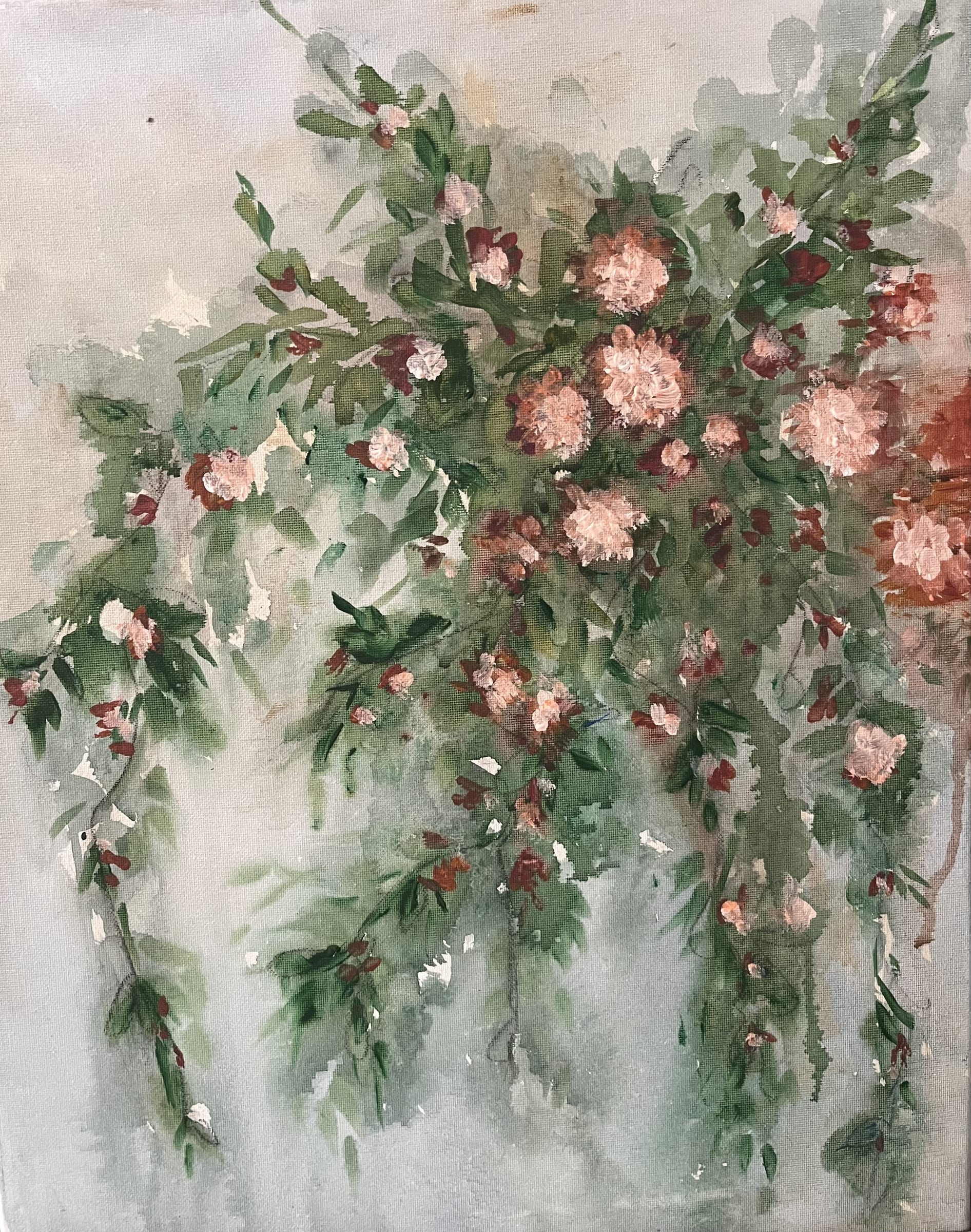 Pink flowers
