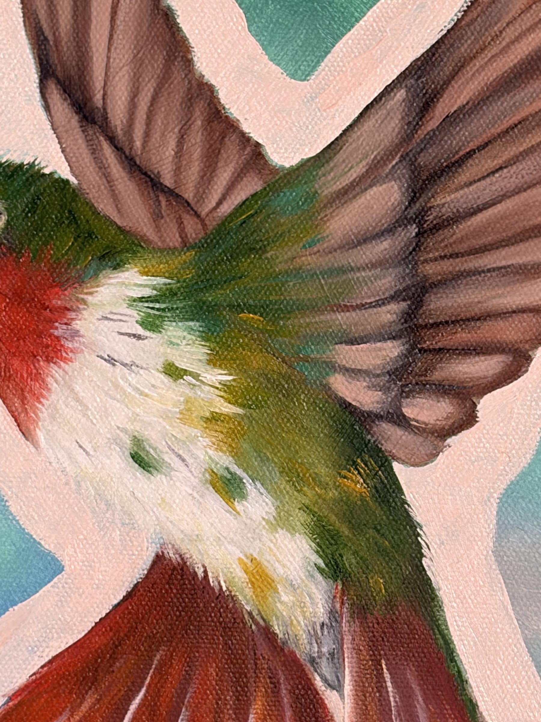 FREEDOM thumbnail 2