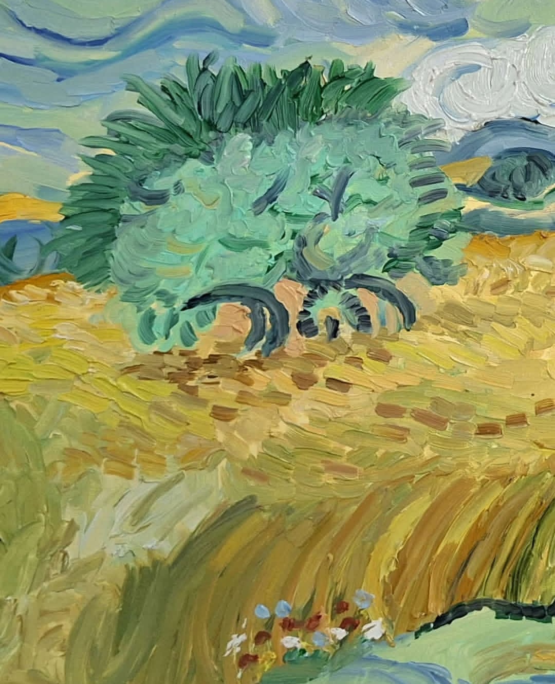 Field of wheat and cypress thumbnail 4