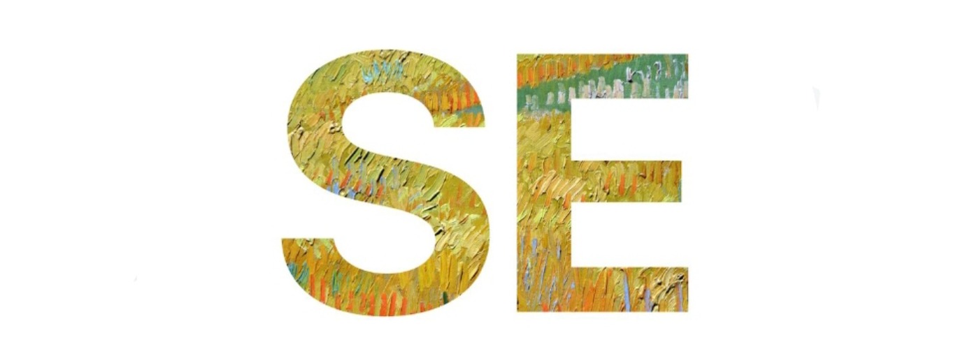 Salwa Elshamy's cover image