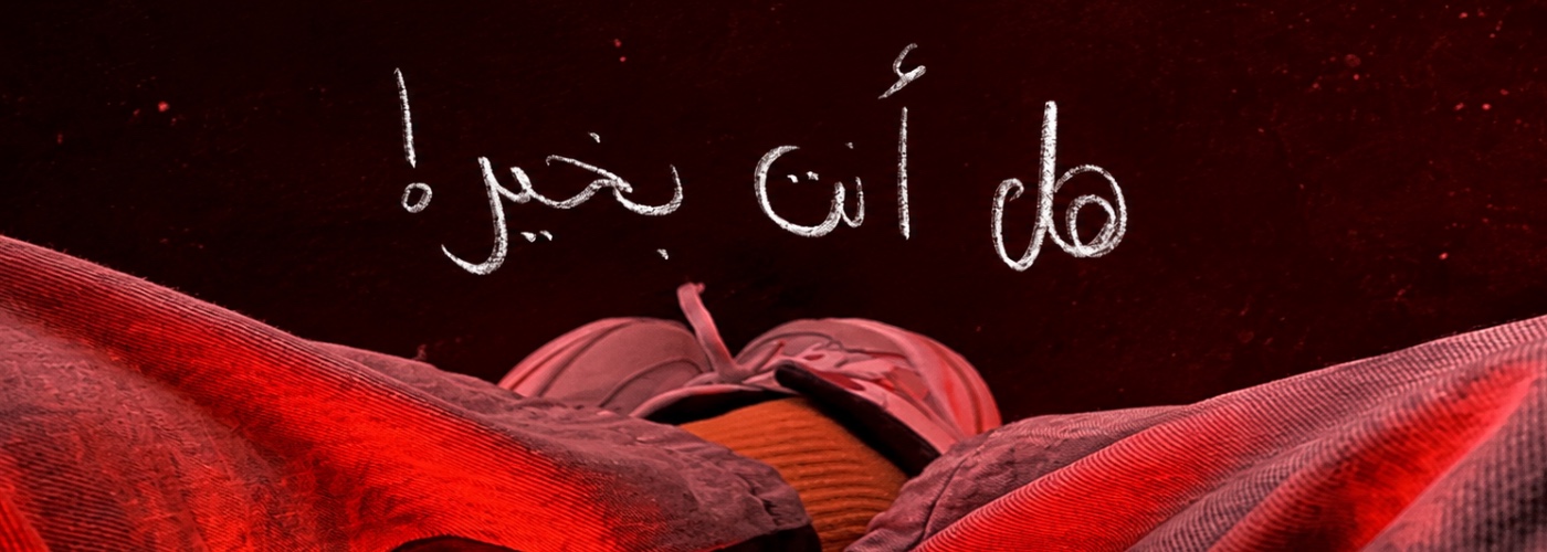 Habiba Elsayed's cover image