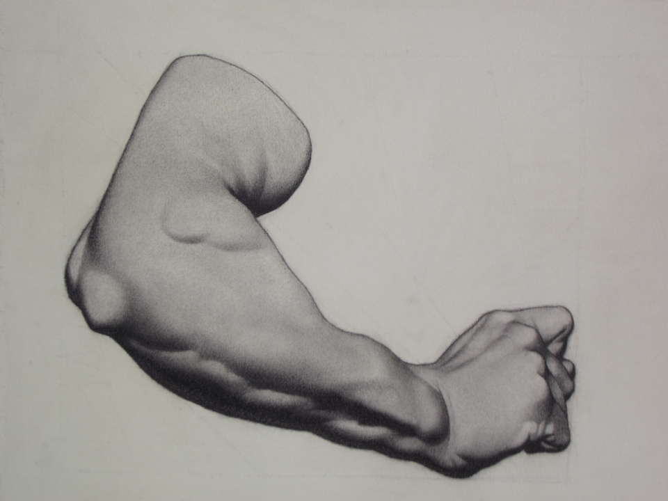 Bargue plate 23, an original piece by Marwan Gamal