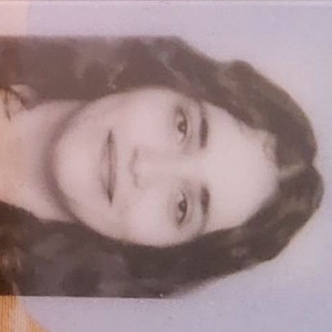 omnia elqadi