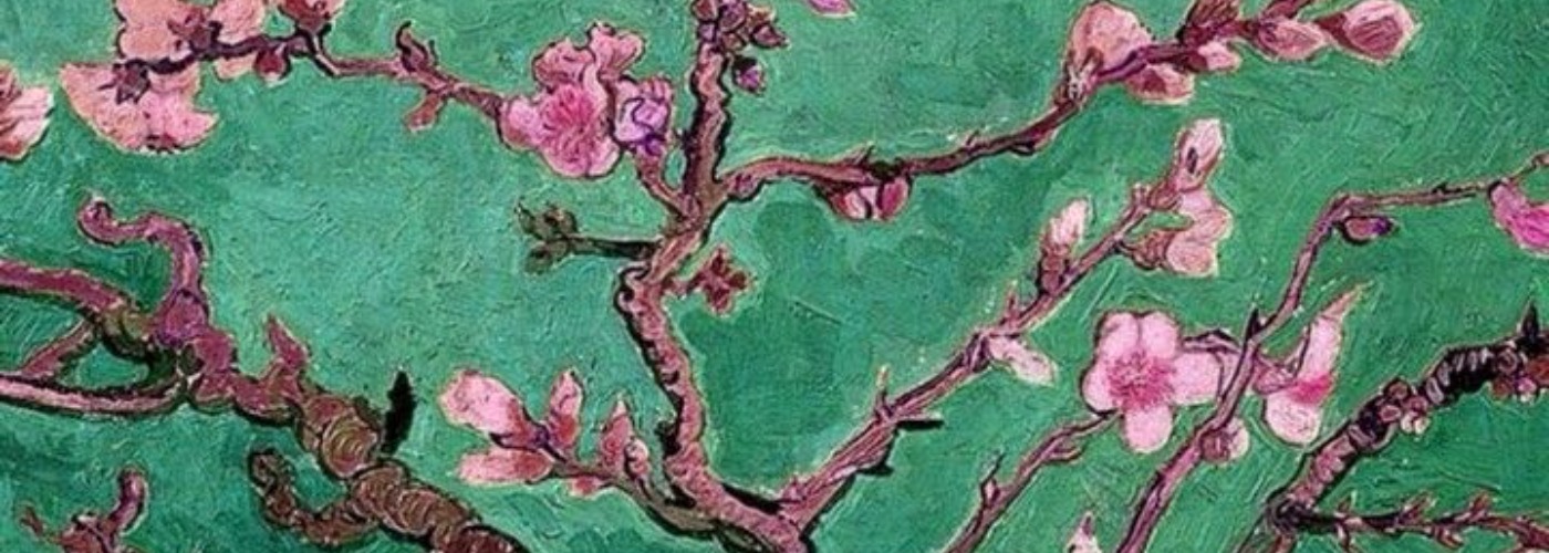 Habiba Ayman's cover image