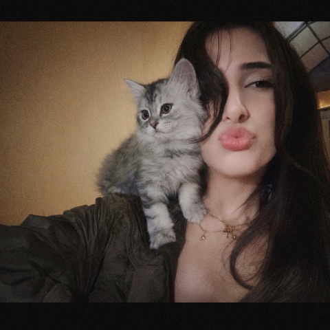 Malak Amr
